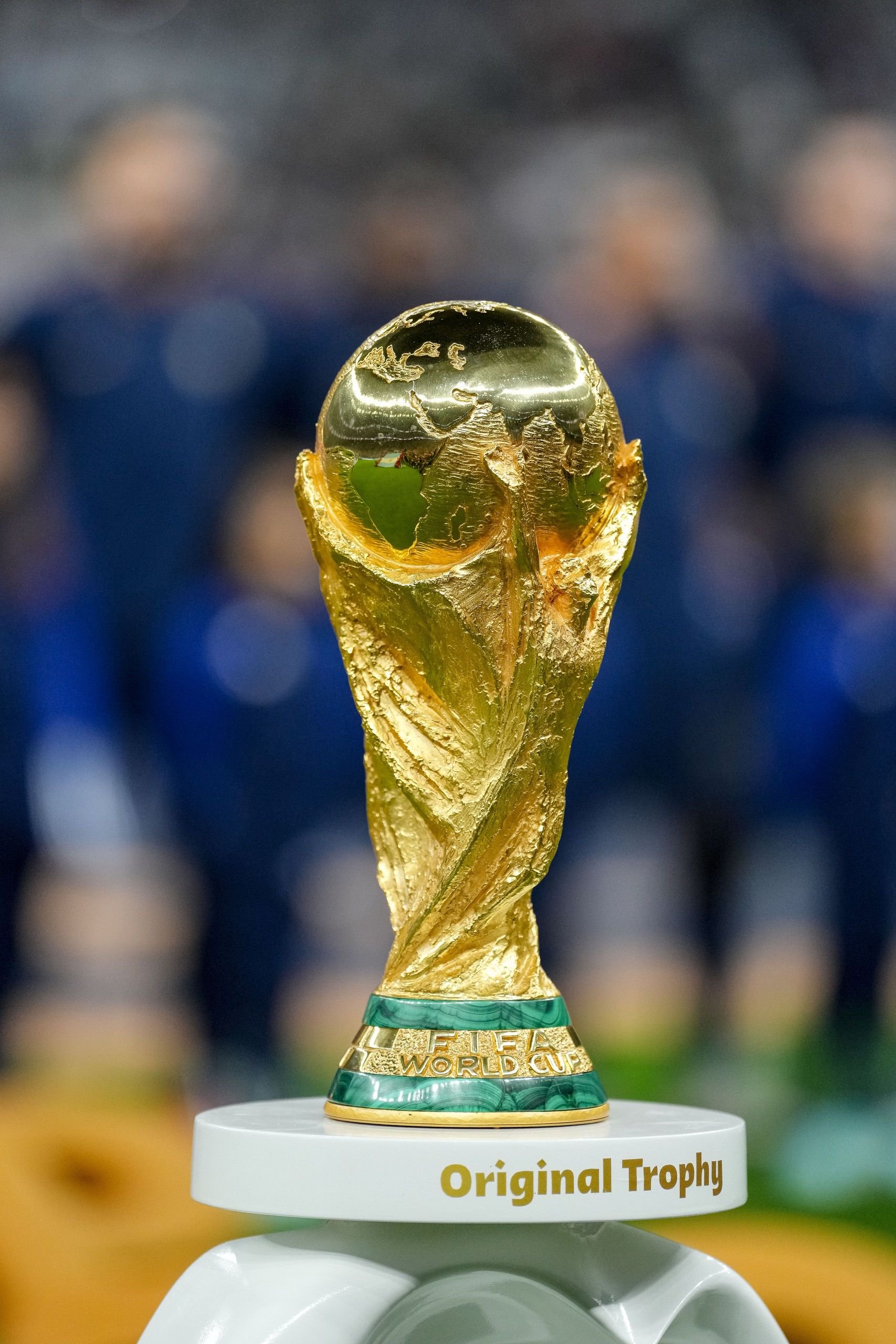 1吨-10吨茶籽油生产线